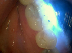 Cadena Dentistry Cadena Dentistry