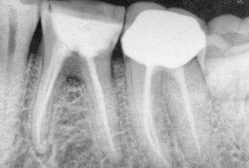 Cadena Dentistry Cadena Dentistry