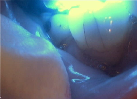 Cadena Dentistry Cadena Dentistry